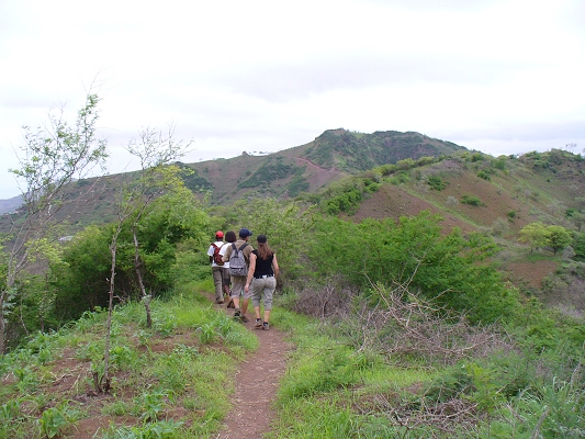 hiking, trekking